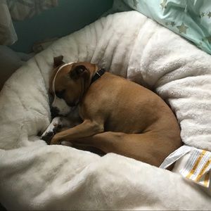 Meet your Posher, Pamela